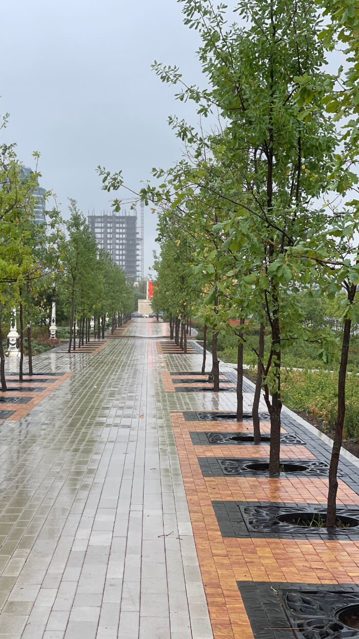 Приствольная решетка для дерева ZKING CRUST 1.2х1.2м Черная в Уфе фото