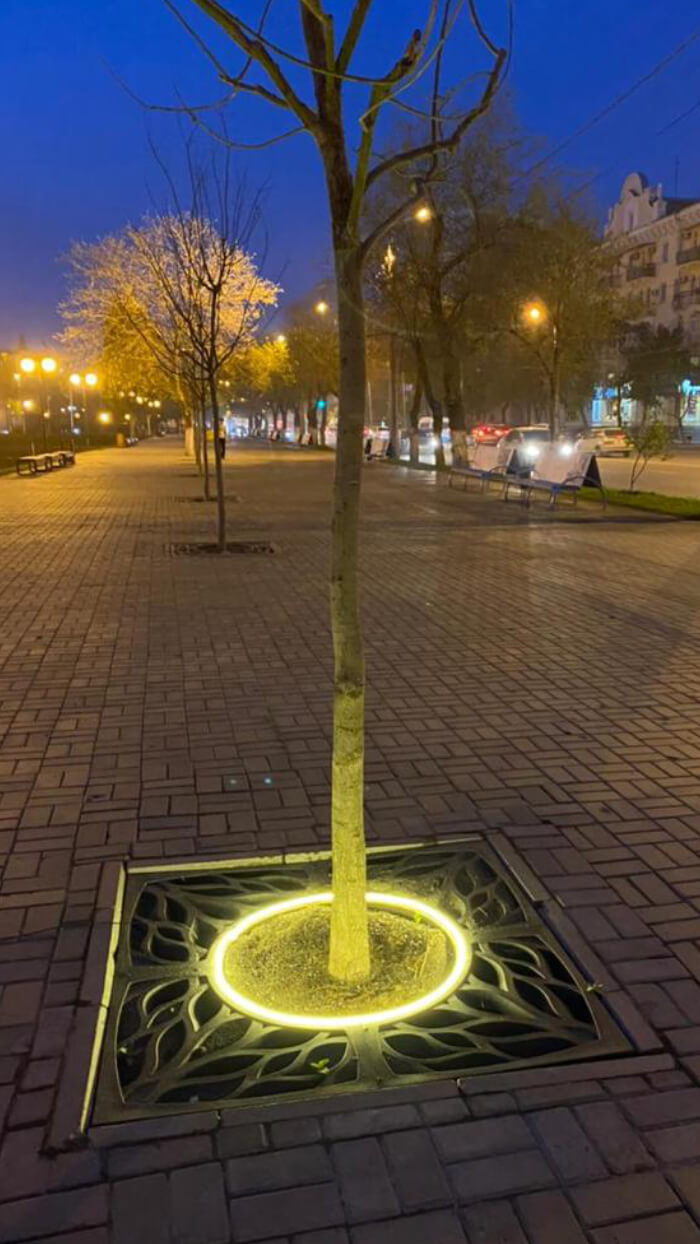 Приствольная решетка для дерева ZKING CRUST 1.2х1.2м Черная в Уфе фото